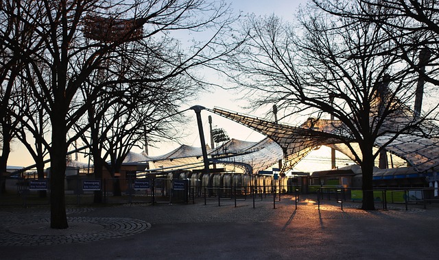 智慧和远见 智慧和远见