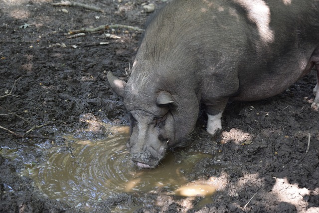 我们不妨对 我们不妨对