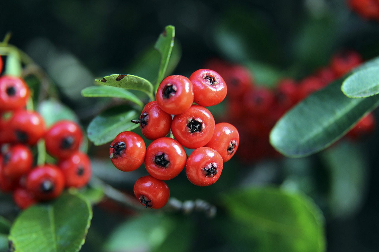 育未来巨星 育未来巨星