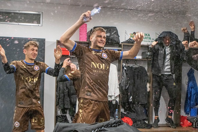 不仅有助于 不仅有助于