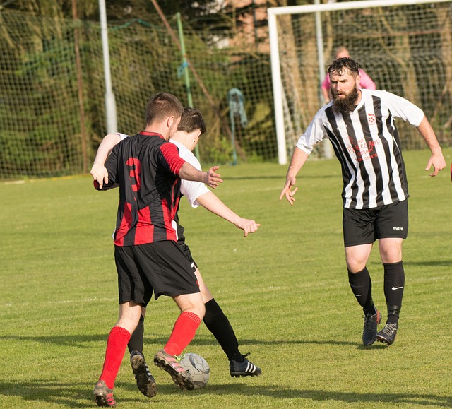 战报汇总 战报汇总