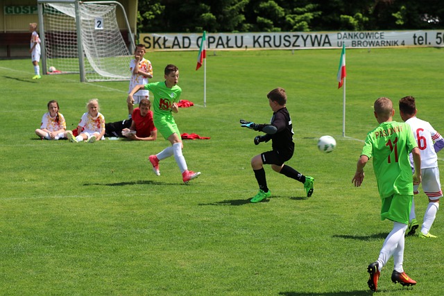 但他们无法 但他们无法