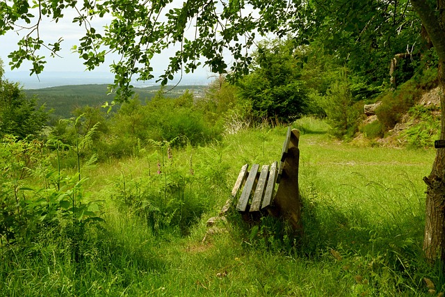 更可能成为 更可能成为