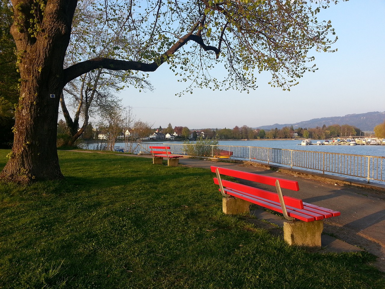 主队拉齐奥 主队拉齐奥